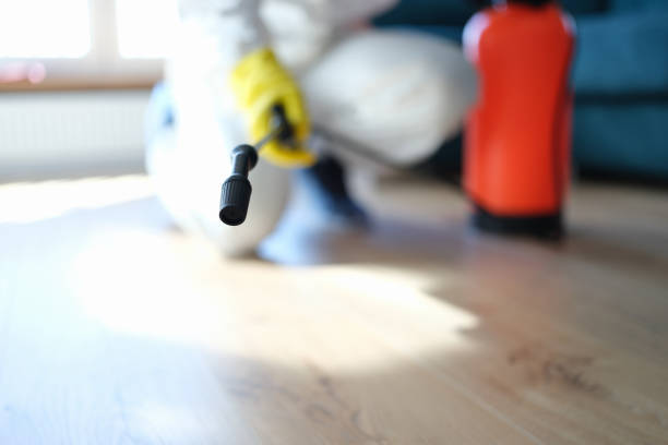 Best Crawl Space Mold Remediation  in Skagway, AK
