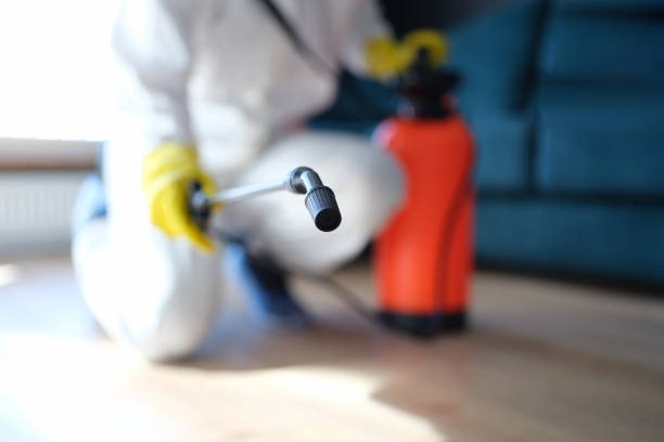Best Mold Odor Removal Services  in Skagway, AK