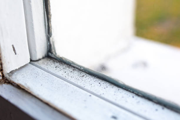 Dehumidification Services in Skagway, AK